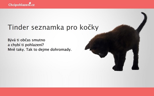 nejlepší seznamka aplikace pro studenty vysokých školzavěsit kočičí džin