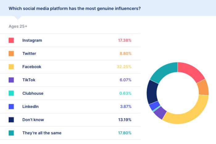 Důvěřujeme influencerům? 