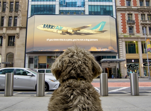 Reklama týdne: Psi mohou s Bark Air létat jako v první třídě 